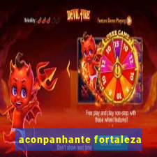 aconpanhante fortaleza